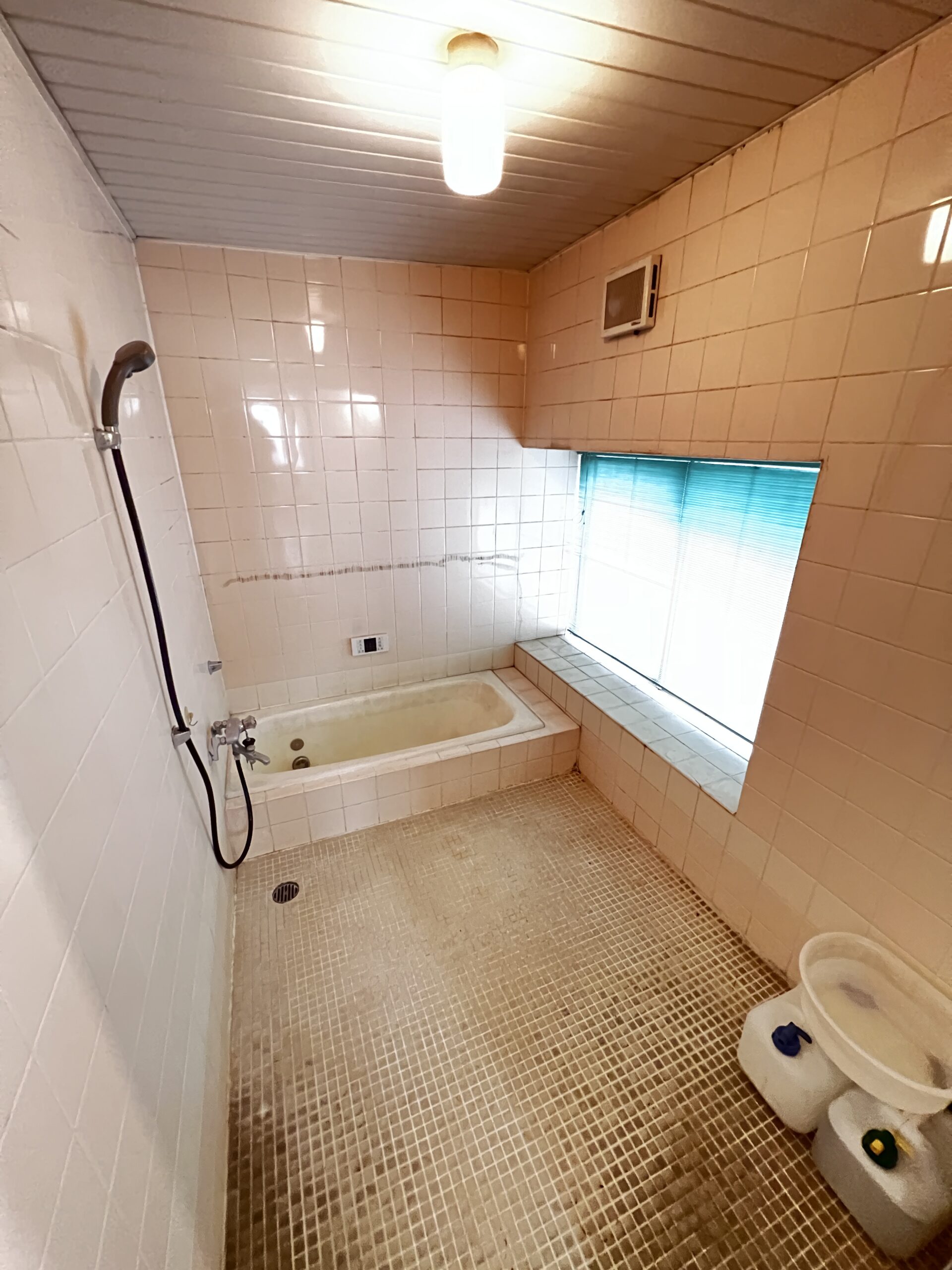 合志市 豊岡 （武蔵塚駅 ） 2階建 ４ＬＤＫ