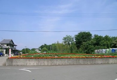 熊本市東区 小山７丁目 事業用地（側道沿い）