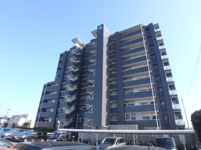 アルファステイツ光の森